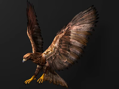 Majestic Eagle With Spread Wings Brown Feathers And Yellow Talons Against Dark Background 3d model