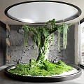 Indoor Landscape Landscaping Dead Wood Landscaping Moss Gravel Fishing Plant Stone Kidney Fern 3d model