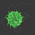 Microscopic Immune Cell With Orange Body Green Structures And Protrusions