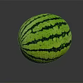 Fresh Ripe Watermelon with Green Black Striped Pattern on Dark Background and Reflective Surface