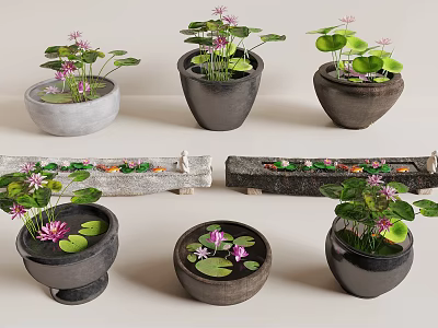 Water Fountain Decorative Setup With Flower Pots Water Lilies Lotus Leaves And Colorful Pebbles 3d model