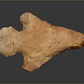 Vibrant Orange Natural Stone with Irregular Shape and Textured Surface Displayed on Dark Background