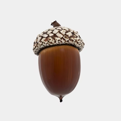Natural Brown Acorn with Detailed White and Brown Textured Cap on White Background 3d model