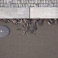 Urban Road Facilities Featuring Curb Cobblestone Pavement And Manhole Cover With Fallen Leaves
