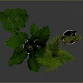 Large Leaf Plant Palm And Cactus With Red Flowers In White Pots On Dark Background