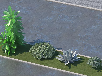 Green Shrubs And Succulent Plants On Grass Lawn By Paved Surface 3d model