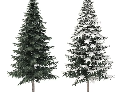 Two Evergreen Trees With Lush Green Foliage And Snow Covered Branches 3d model