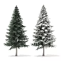 Modern Tree Pine 3d model