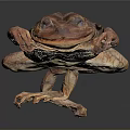 Detailed Reddish Brown Spotted Toad Lying On Grey Background With Reflection