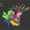 Colorful Flower With White Feather Decorations And Green Long Stemmed Plants In Dark Background