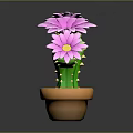 Green Cactus Plant With Smiling Face Yellow Thorns Pink Flowers And Brown Pot