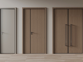 Modern double door single door 3d model