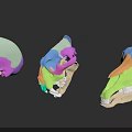 Colorful Anatomical Skull Models With 3D Design And Medical Educational Purpose
