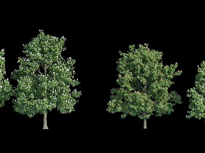 Various Arbor Trees With Lush Green Foliage And Sturdy Trunks In Landscape Design 3d model