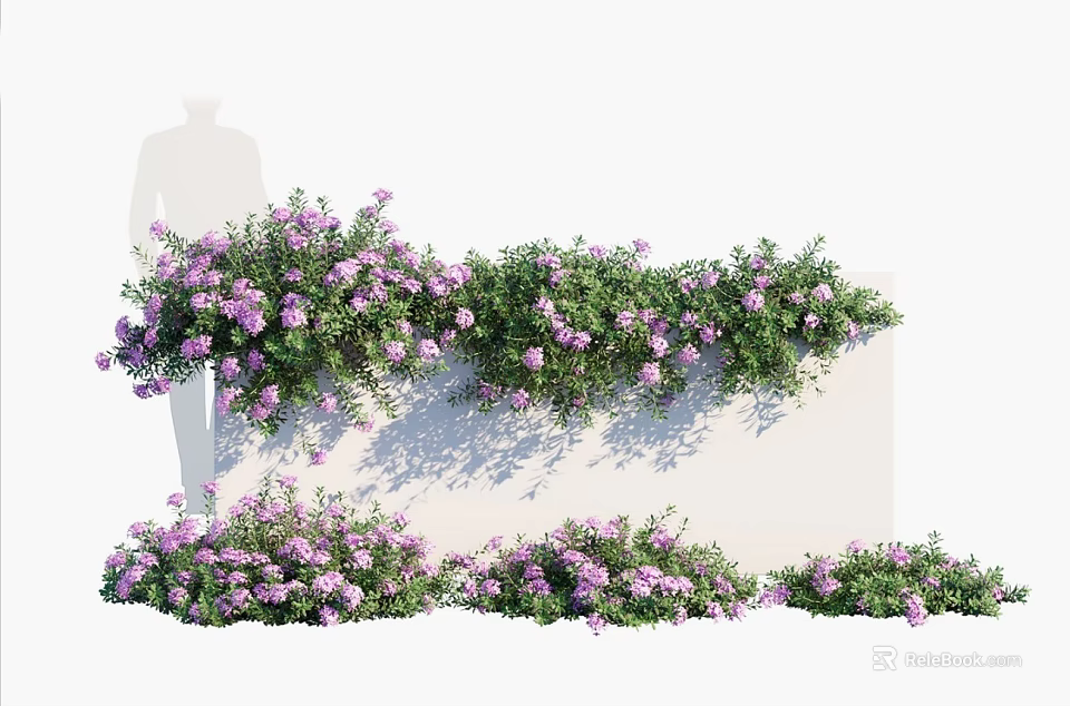 Vines With Purple Flowers Growing Along White Wall And Ground 3d model 