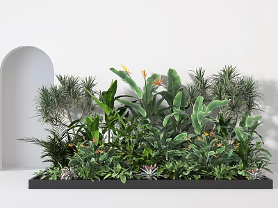 Lush Green Tropical Plants With Orange Blooms In Black Rectangular Planter And White Wall 3d model