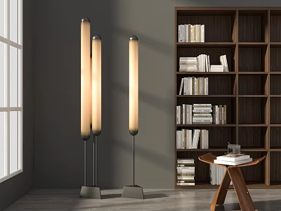 Modern Floor Lamps In Living Room With Wooden Bookshelf And Small Table Warm Light 3d model