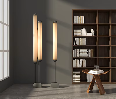 Modern Floor Lamps In Living Room With Wooden Bookshelf And Small Table Warm Light 3d model
