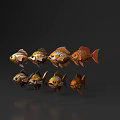 Decorative Aquatic Animals Display With Multiple Golden Fish And Intricate Patterns 3d model