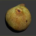 Fresh Ripe Mango With Yellow Orange Speckled Skin Curved Shape on Dark Surface with Reflection
