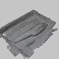 Ancient Square Pit Excavation Reveals Large Red White Fish Remains in Mud 3d model