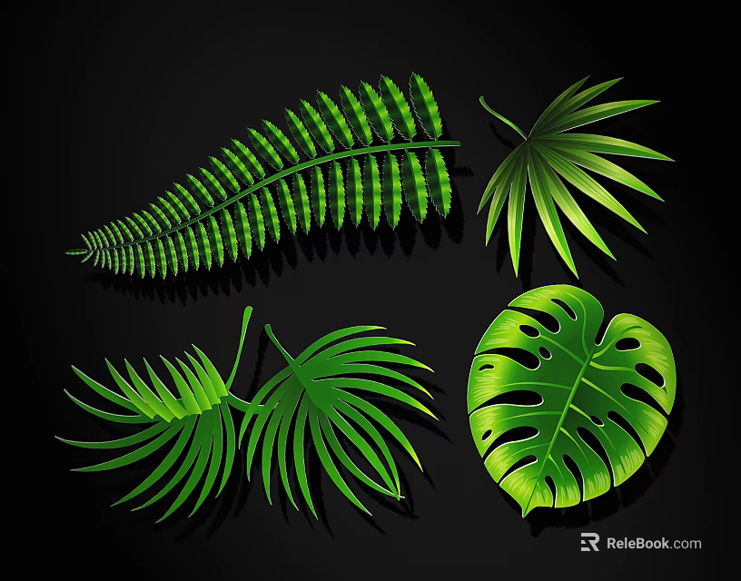 Collection Of Green Tropical Leaves Featuring Fern Palm And Monstera Types 3d model 