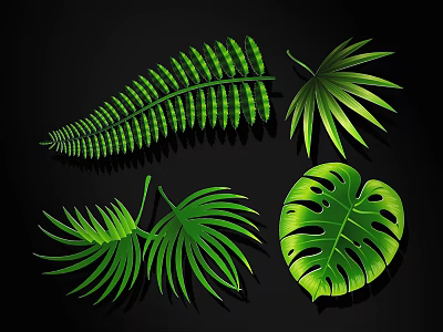 Collection Of Green Tropical Leaves Featuring Fern Palm And Monstera Types 3d model