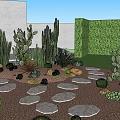 Tropical Indoor Landscape With Cacti Succulents Stone Path White Walls And Green Plant Wall