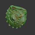 Brown And White Conch Shell With Spiky Edges And Textured Surface On Dark Background