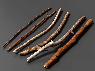 Natural Wooden Branches with Various Sizes Brown Color and Smooth Surface Texture 3d model