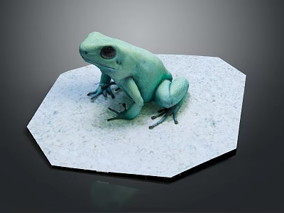 Green Frog Sitting On White Octagonal Platform With Dark Background 3d model