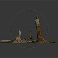 Natural Weathered Tree Stumps With Branches And Exposed Roots As Decorative Plant Elements
