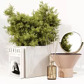 Stylish Decorative Ornament Set With Green Plants Vases Diffuser Sticks Books And Glass Cups