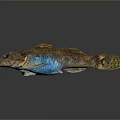 Colorful Shiny Fish Decorative Figurine With Blue Yellow Scales For Home Decor