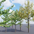 Multiple Arbor Trees With Green And Yellow Leaves Standing Under Blue Sky 3d model