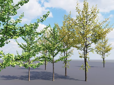 Multiple Arbor Trees With Green And Yellow Leaves Standing Under Blue Sky 3d model