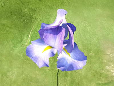 Fresh and Beautiful Purple Iris Flower with Vibrant Petals on Green Background 3d model