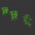 Three Green Plant Organs With Leaf Hairs And Lush Foliage On White Background