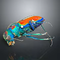Vibrant Colorful Beetle Displaying Blue Orange Green Iridescent Shell against Dark Background