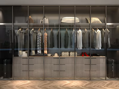Modern Stylish Wardrobe Interior Design With Glass Doors Hanging Clothes Bags Shoes And Drawers 3d model