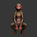 Squatting Monkey With Red Face Detailed Fur And Tail 3D Rendered On Gray Background