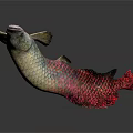Vibrant Mythical Animal With Scaly Body And Red Fish Tail On White Background