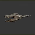 Detailed Fossilized Crocodile Skull With Open Mouth And Sharp Teeth