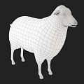 Modern sheep 3d model