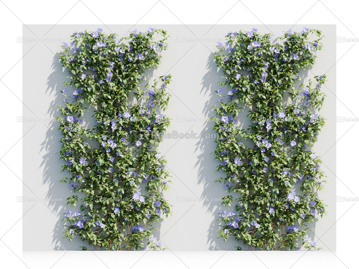 Modern Vine Vine Plant 3d model