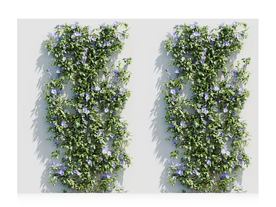 Lush Decorative Vines With Green Leaves And Small Purple Flowers Growing On White Wall 3d model