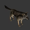 Realistic Gray Wolf 3D Model As Game Movie Character With Standing Pose 3d model