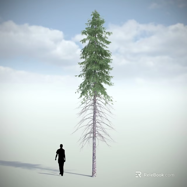 Tall Arbor With Green Foliage Standing Beside Person Silhouette Under Blue Sky And White Clouds 3d model 