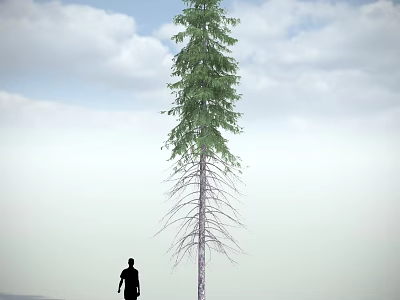 Tall Arbor With Green Foliage Standing Beside Person Silhouette Under Blue Sky And White Clouds 3d model