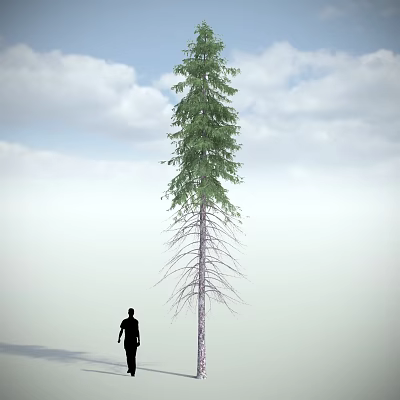 Tall Arbor With Green Foliage Standing Beside Person Silhouette Under Blue Sky And White Clouds 3d model